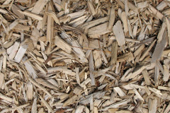 biomass boilers Gwavas